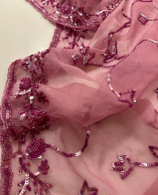 Onion Pink Full Cutdana Chiffon